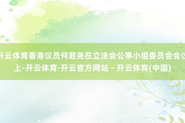 开云体育香港议员何君尧在立法会公事小组委员会会议上-开云体育·开云官方网站 - 开云体育(中国)
