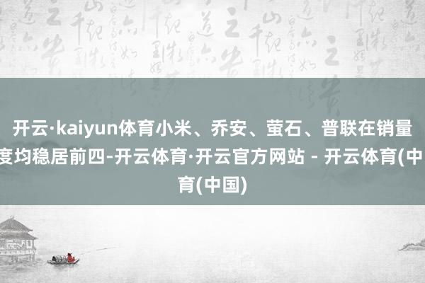 开云·kaiyun体育小米、乔安、萤石、普联在销量维度均稳居前四-开云体育·开云官方网站 - 开云体育(中国)