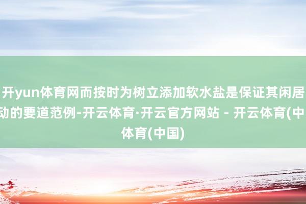 开yun体育网而按时为树立添加软水盐是保证其闲居启动的要道范例-开云体育·开云官方网站 - 开云体育(中国)